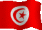 tn-flag1-ss[1].gif